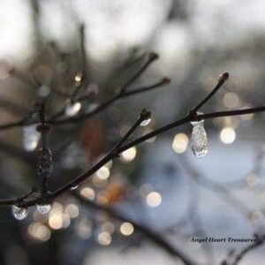 8x10 Original Photography Frozen Ice Droplets